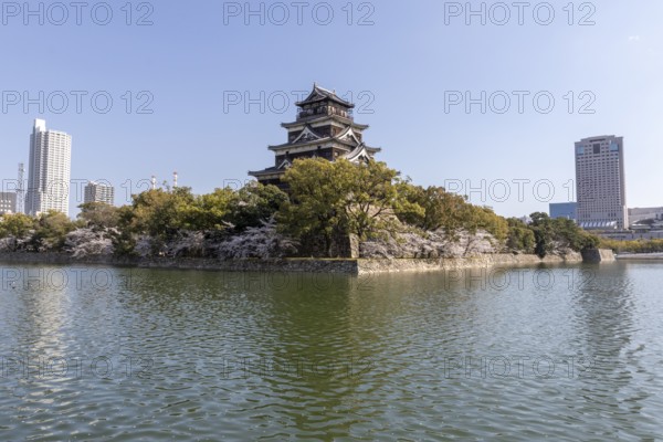 Hiroshima Castle, also known as Carp Castle, against a blue sky with cherry blossoms, sakura, and moat, replica of the original destroyed in the atomic bombing, sight, tourist attraction, Naka Ward, Hiroshima, Japan