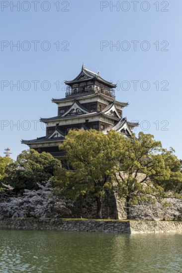 Hiroshima Castle, also known as Carp Castle, against a blue sky with cherry blossoms, sakura, and moat, replica of the original destroyed in the atomic bombing, sight, tourist attraction, Naka Ward, Hiroshima, Japan