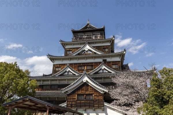 Hiroshima Castle, also known as Carp Castle, in front of a blue sky with cherry blossoms, Sakura, replica of the original destroyed by the atomic bombing, sight, tourist attraction, Naka Ward, Hiroshima, Japan
