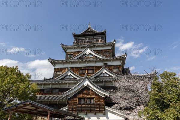 Hiroshima Castle, also known as Carp Castle, in front of a blue sky with cherry blossoms, Sakura, replica of the original destroyed by the atomic bombing, sight, tourist attraction, Naka Ward, Hiroshima, Japan