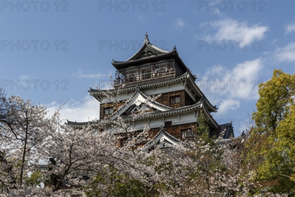 Hiroshima Castle, also known as Carp Castle, in front of a blue sky with cherry blossoms, Sakura, replica of the original destroyed by the atomic bombing, sight, tourist attraction, Naka Ward, Hiroshima, Japan