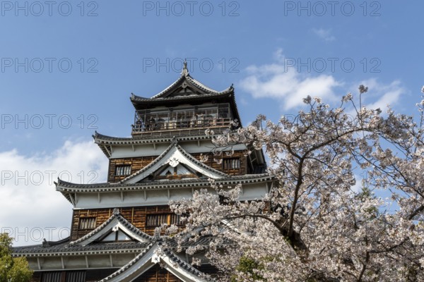 Hiroshima Castle, also known as Carp Castle, in front of a blue sky with cherry blossoms, Sakura, replica of the original destroyed by the atomic bombing, sight, tourist attraction, Naka Ward, Hiroshima, Japan