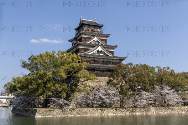 Hiroshima Castle, also known as Carp Castle, against a blue sky with cherry blossoms, sakura, and moat, replica of the original destroyed in the atomic bombing, sight, tourist attraction, Naka Ward, Hiroshima, Japan
