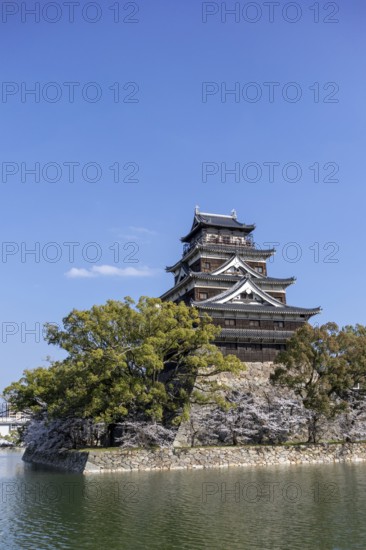 Hiroshima Castle, also known as Carp Castle, against a blue sky with cherry blossoms, sakura, and moat, replica of the original destroyed in the atomic bombing, sight, tourist attraction, Naka Ward, Hiroshima, Japan