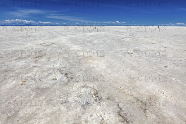Endless salt desert under an azure blue sky, a solitary figure in the distance, The endless expanses of the salt plain of the Salar de Uyuni in Bolivia