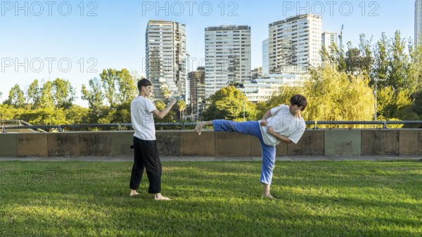 Focused Taekwondo kick in a natural setting