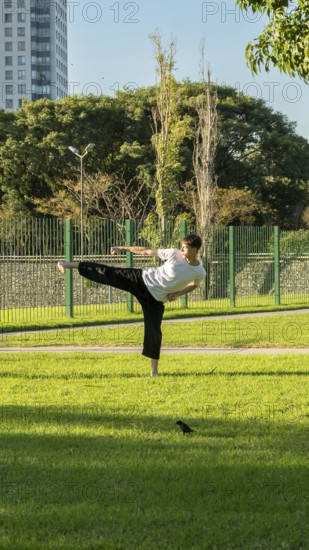 Martial artist performing a high kick outdoors