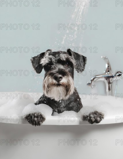 A dog is in a bathtub with bubbles. The dog is looking at the camera, AI generated