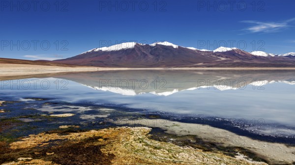 Mountain landscape with a lake whose clear surface reflects the snow-covered peaks under a clear sky, The Laguna Colorada in Bolivia