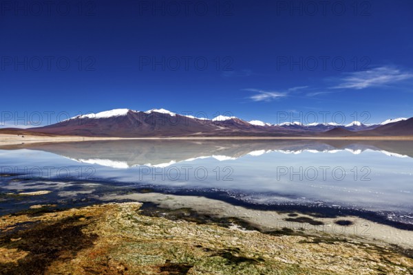 Landscape of a calm expanse of water reflecting a snow-capped mountain in a clear sky, The Laguna Colorada in Bolivia