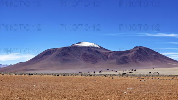 A lonely, snow-covered mountain rises from a dry, barren plain under a cloudless sky, The landscape of the Altiplano in Bolivia