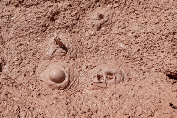 Bubbling mud with volcanic activity, the mud volcanoes and fumaroles on the Altiplano in Bolivia