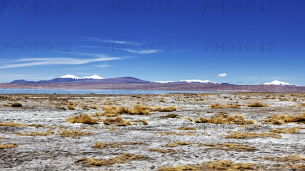 Vast desert landscape with mountains in the background and blue sky, The landscape of the Altiplano in Bolivia
