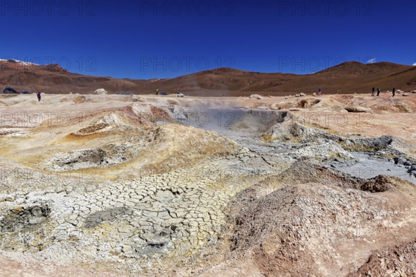 Vast geothermal landscape in a dry desert under a clear sky, The mud volcanoes and fumaroles on the Altiplano in Bolivia