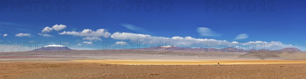 Panorama of a vast desert plain with a majestic mountain panorama under a clear sky, The landscape of the Altiplano in Bolivia