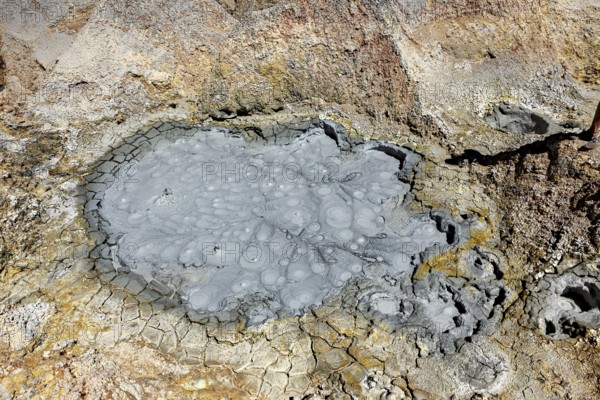 Cracked, grey crater floor with mud bubbles and geological structures, The mud volcanoes and fumaroles on the Altiplano in Bolivia