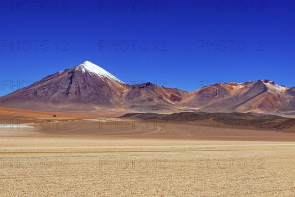 A snow-capped mountain rises in front of a vast, dry desert plain under a clear sky, The landscape of the Altiplano in Bolivia