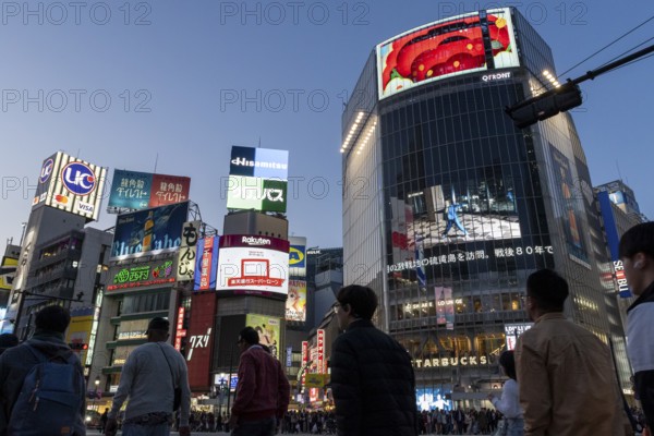 Crowd crossing the zebra crossings of Shibuya Crossing, world-famous intersection in Shibuya district, behind it neon signs and billboards on skyscrapers at dusk, tourist attraction, landmark, Shibuya district, Tokyo, Japan