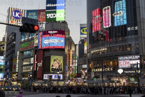 Crowd waiting at the zebra crossing of Shibuya Crossing, world-famous intersection in Shibuya district, behind neon signs and billboards on skyscrapers at dusk, tourist attraction, sight, Shibuya district, Tokyo, Japan