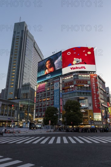 Crowd waiting at the zebra crossing of Shibuya Crossing, world-famous intersection in Shibuya district, behind neon signs and billboards on skyscrapers at dusk, tourist attraction, sight, Shibuya district, Tokyo, Japan