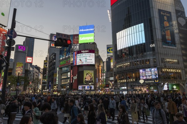 Crowd crossing the zebra crossings of Shibuya Crossing, world-famous intersection in Shibuya district, behind it neon signs and billboards on skyscrapers at dusk, tourist attraction, landmark, Shibuya district, Tokyo, Japan