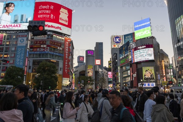 Crowd crossing the zebra crossings of Shibuya Crossing, world-famous intersection in Shibuya district, behind it neon signs and billboards on skyscrapers at dusk, tourist attraction, landmark, Shibuya district, Tokyo, Japan