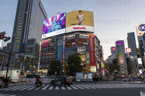 Cars in traffic at Shibuya Crossing, world-famous intersection in the Shibuya district, behind it neon signs and billboards on skyscrapers at dusk, tourist attraction, sight, Shibuya district, Tokyo, Japan