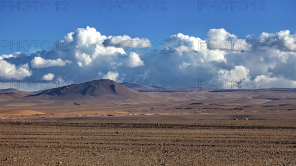 Vast desert landscape with mountains under a clear blue sky and mighty clouds, The landscape of the Altiplano in Bolivia
