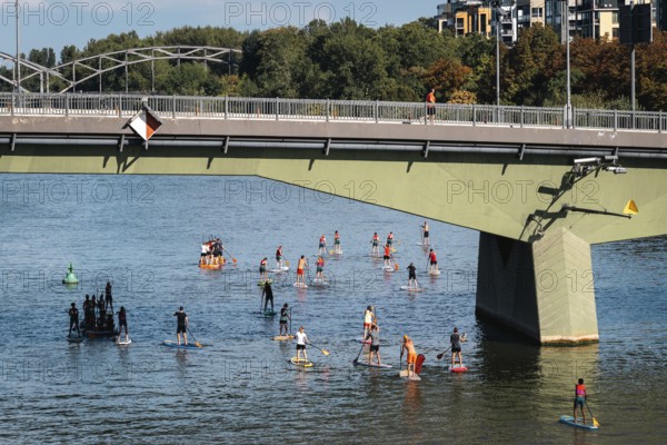 Stand up paddlers conquer the Main. Sachsenhausen, Frankfurt am Main, Hesse, Germany
