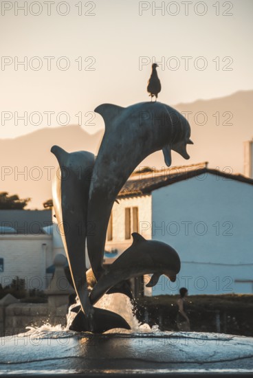 A bird on a dolphin fountain at sunset.Santa Barbara's Dolphin Fountain is located at the entrance to Stearns Wharf, Santa Barbara, USA