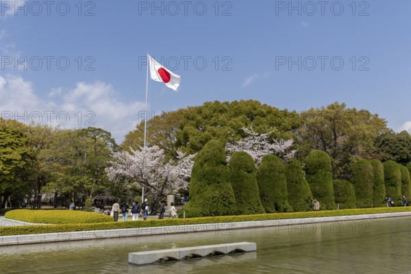 Japanese national flag and blossoming cherry trees, Sakura in the Peace Park, landmark, UNESCO World Heritage Site, peace memorial and memorial to the victims of the atomic bombing of Hiroshima, Naka Ward, Hiroshima, Japan
