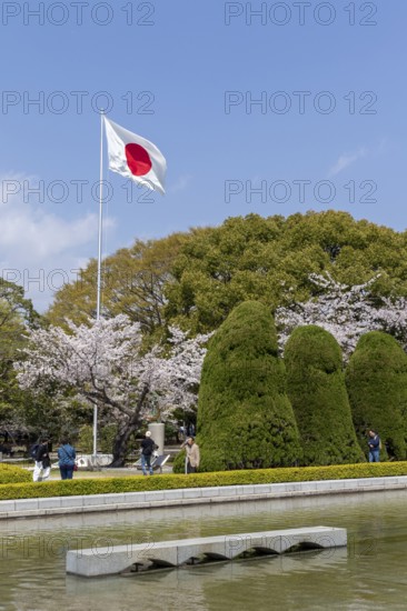 Japanese national flag and blossoming cherry trees, Sakura in the Peace Park, landmark, UNESCO World Heritage Site, peace memorial and memorial to the victims of the atomic bombing of Hiroshima, Naka Ward, Hiroshima, Japan