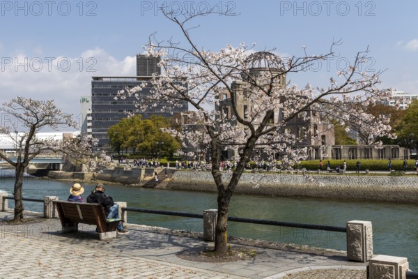 Tourists sitting on a bench under blossoming cherry trees, Sakura, Atomic Bomb Dome behind them, ruins of the former Chamber of Commerce and Industry building, landmark, UNESCO World Heritage Site, peace memorial and memorial to the victims of the atomic bombing of Hiroshima in the Peace Park on the Otagawa River, Naka Ward, Hiroshima, Japan