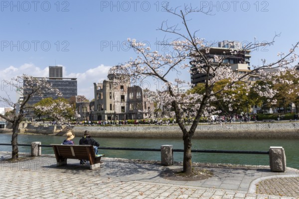 Tourists sitting on a bench under blossoming cherry trees, Sakura, Atomic Bomb Dome behind them, ruins of the former Chamber of Commerce and Industry building, landmark, UNESCO World Heritage Site, peace memorial and memorial to the victims of the atomic bombing of Hiroshima in the Peace Park on the Otagawa River, Naka Ward, Hiroshima, Japan