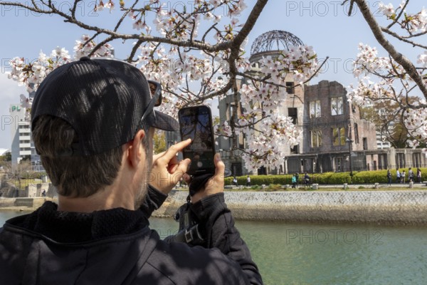 Tourist taking a photo of cherry blossoms with a smartphone, sakura, behind it atomic bomb dome, ruins of the former building of the Chamber of Commerce and Industry, landmark, UNESCO World Heritage Site, peace monument and memorial to the victims of the atomic bombing of Hiroshima in the Peace Park on the Otagawa River, Naka Ward, Hiroshima, Japan