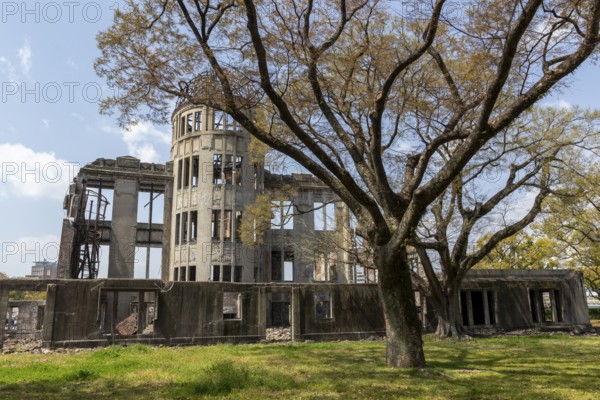 Tree in front of the atomic bomb dome, Atomic Bomb Dome, ruins of the former Chamber of Commerce and Industry building, landmark, UNESCO World Heritage Site, peace memorial and memorial to the victims of the atomic bombing of Hiroshima in the Peace Park, Naka Ward, Hiroshima, Japan
