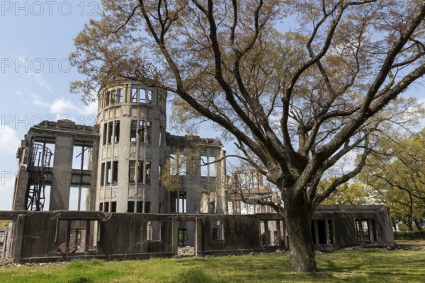 Tree in front of the atomic bomb dome, Atomic Bomb Dome, ruins of the former Chamber of Commerce and Industry building, landmark, UNESCO World Heritage Site, peace memorial and memorial to the victims of the atomic bombing of Hiroshima in the Peace Park, Naka Ward, Hiroshima, Japan