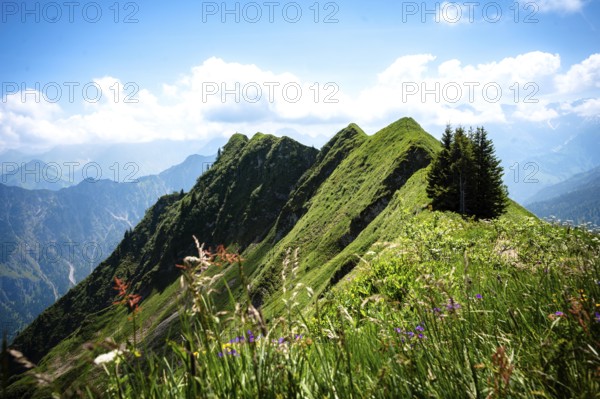 Green mountain peaks with lush meadows under a blue sky and clouds. Kleinwalsertal Vorarlberg Austria