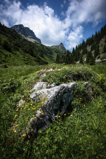 Rocky foreground with grass in front of a mountain landscape with clouds and sky. Kleinwalsertal Vorarlberg Austria