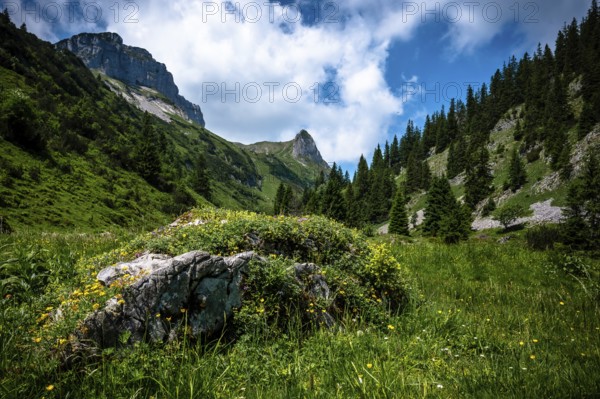 A green meadow under a cloudy sky with rocky elevations. Kleinwalsertal Vorarlberg Austria