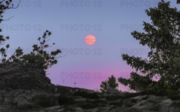 Sunset coloured by smoke particles in the atmosphere. Großer Feldberg in the Taunus, Hesse, Germany