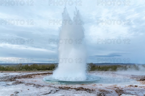 Geyser Strokkur shows its full power. Haukadalur, Golden Circle, Iceland