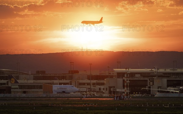 Plane on final approach at sunset. Frankfurt am Main Airport, Hesse, Germany