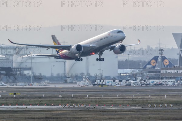 Airbus A350 of the Korean airline Asiana Airlines climbing. Frankfurt am Main Airport, Hesse, Germany