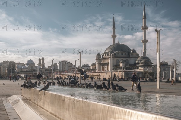 Taksim Mosque and flock of pigeons (Columbidae) . Beyoglu, Istanbul, Turkey