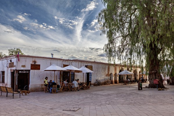 People sit under parasols in a square next to a large tree in front of an old building, The town of San Pedro de Atacama in Chile