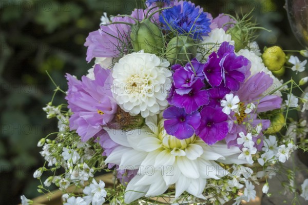 Small bouquet with various garden flowers, North Rhine-Westphalia, Germany