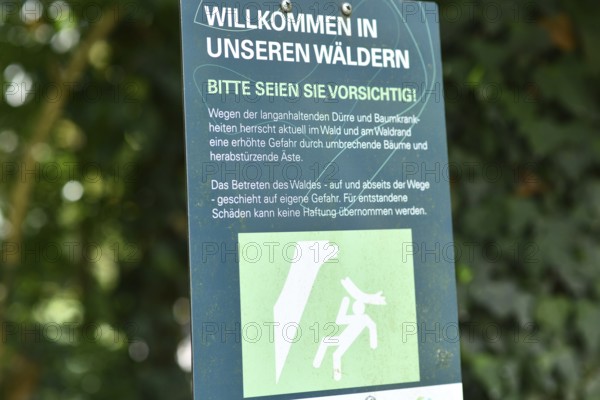 Mannheim, Germany - August 31st 2025: Warning sign at entrance of Dossenwald forest about danger of falling trees due to drought damage and tree diseases from climate change