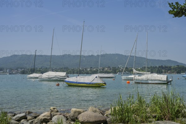Lake Zurich, Zürichhorn park, Zurich, Switzerland