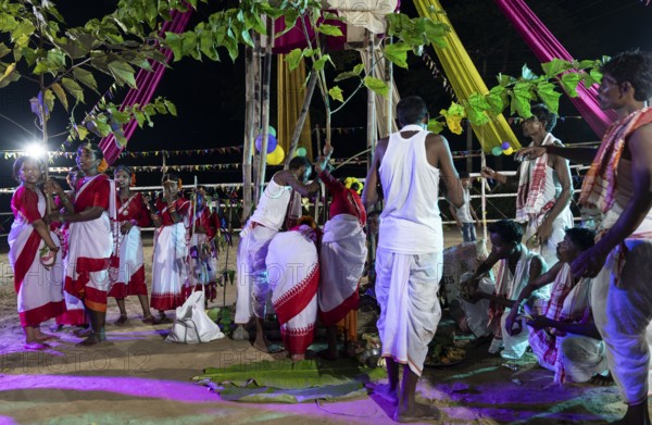 Members of the tea tribe community holds a karam tree as they celebrate the vibrant Karam Festival with traditional rituals at a tea estate in Bokakhat, Assam, India, on 3 September 2025. Karam Puja, one of the most popular harvest festivals, is a celebration dedicated to the Karam tree. This tree symbolizes fertility, prosperity, and all things auspicious. During the festival, Karma dancers carry a branch of the Karam tree while singing and dancing